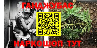 крисы Ставрополь