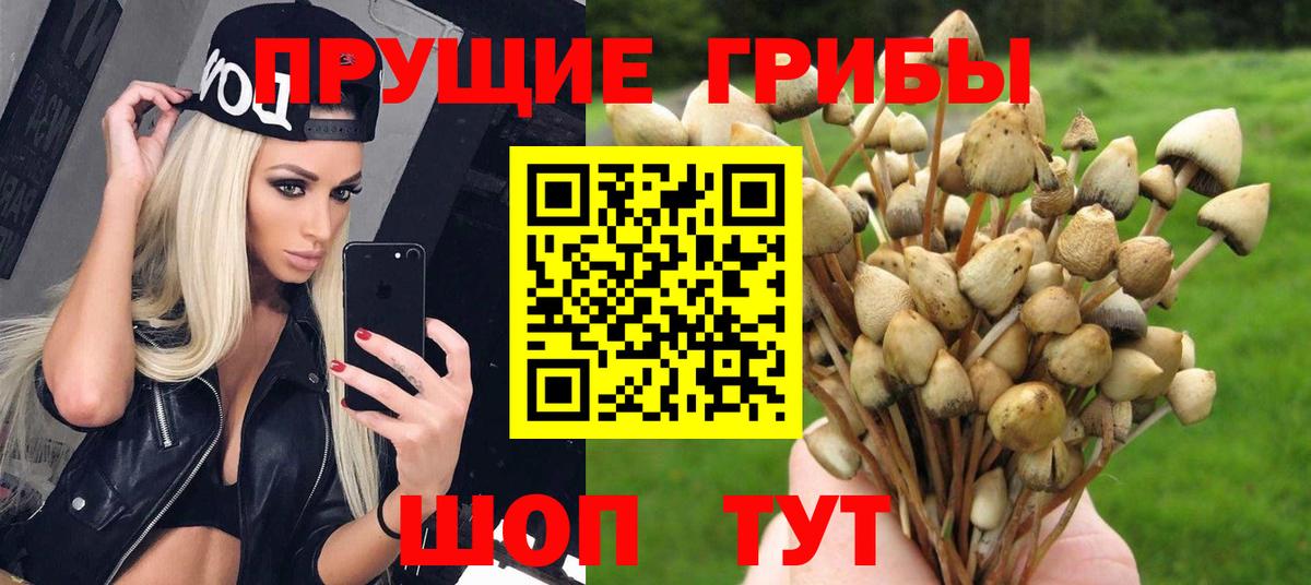 Бахчисарай  Псилоцибиновые грибы мухоморы  Псилоцибиновые грибы Psilocybe  Вход с VPN 